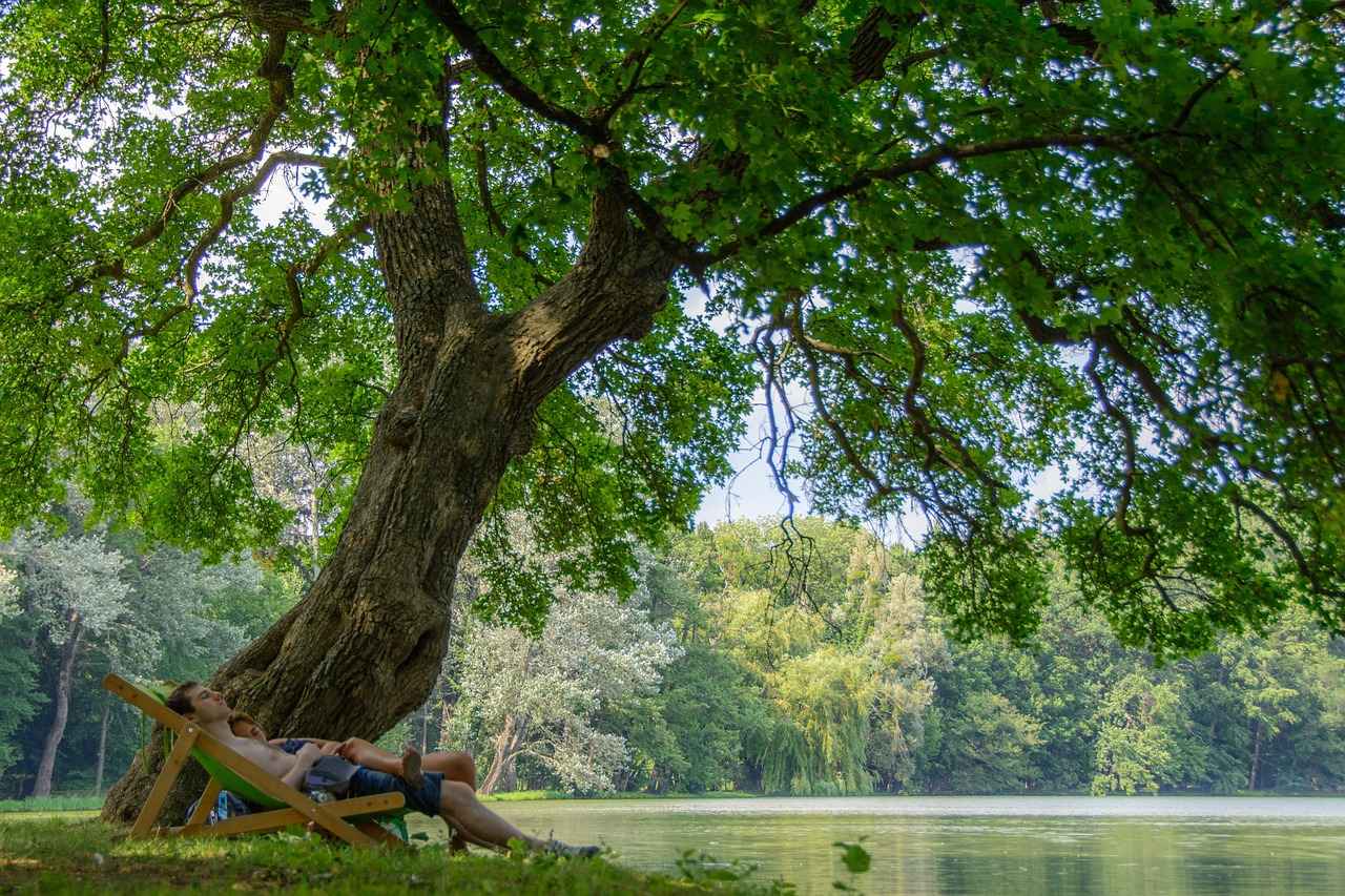 11. Koltuk Bakımını İhmal Etmek