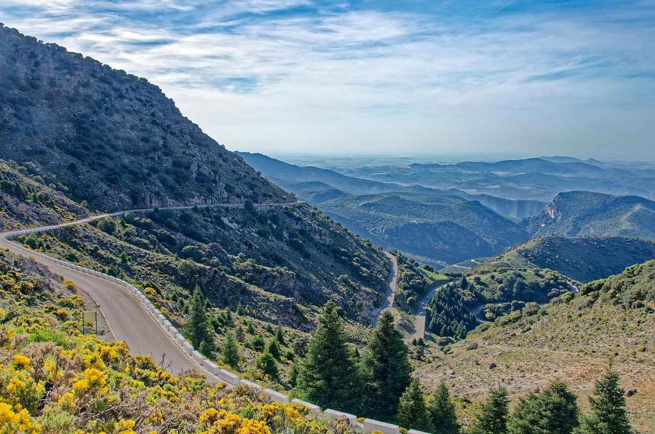 6. Garanti Süresi