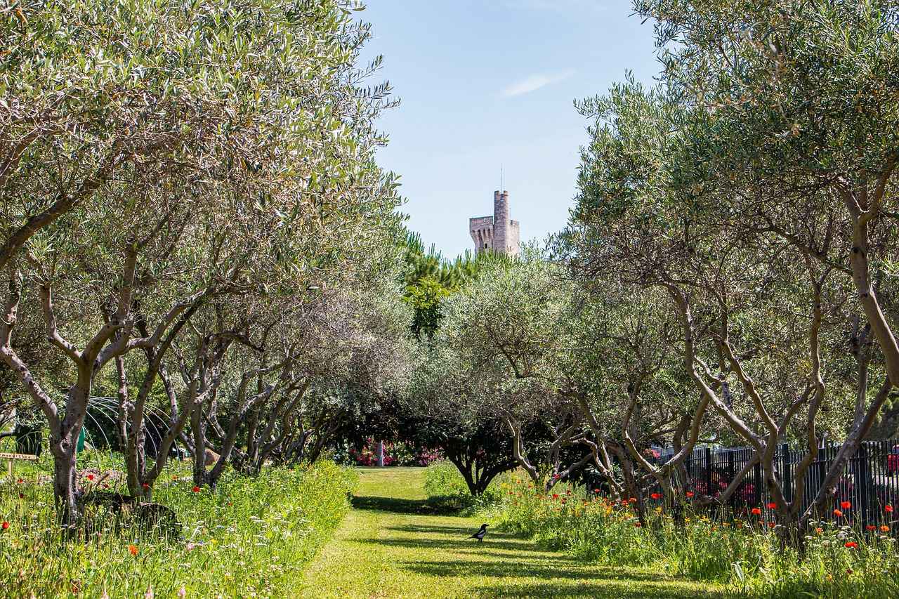 Ergonomik Tasarım Nedir?