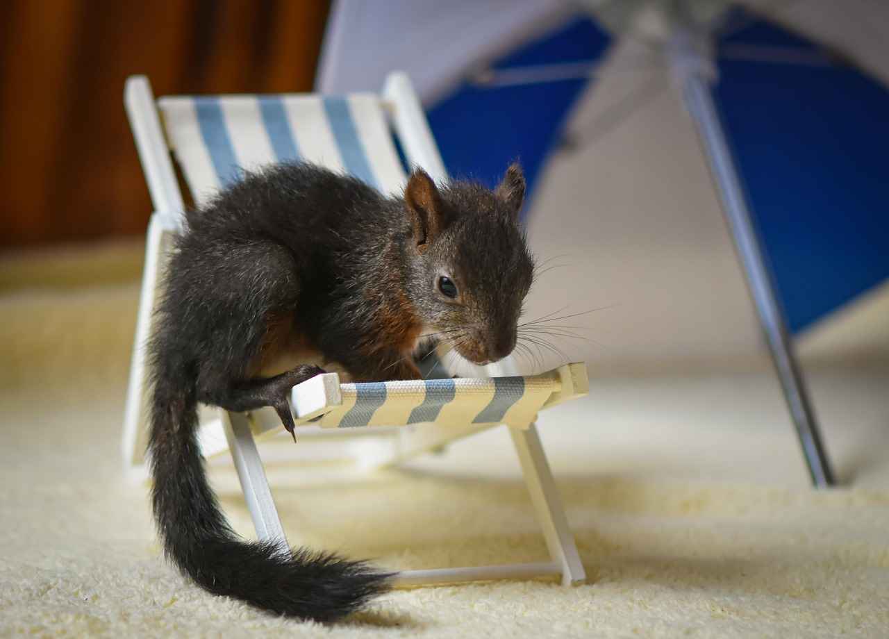 En İyi Oyuncu Koltukları: 2025 Model Karşılaştırması