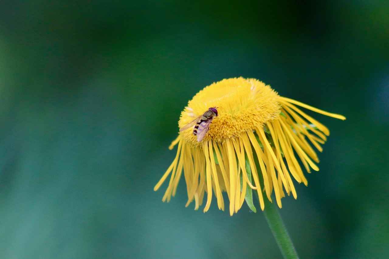 Evde Çalışanlar İçin Oyuncu Koltuğu Kullanımı