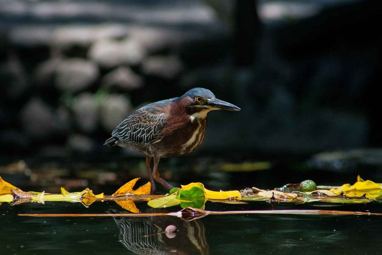 12. Uzun Vadeli Yatırım
