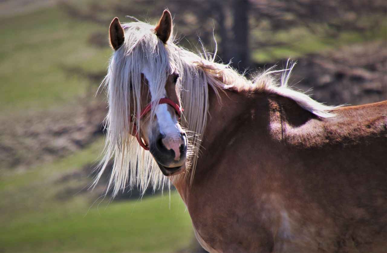 Oyuncu Koltuklarının Ergonomisi