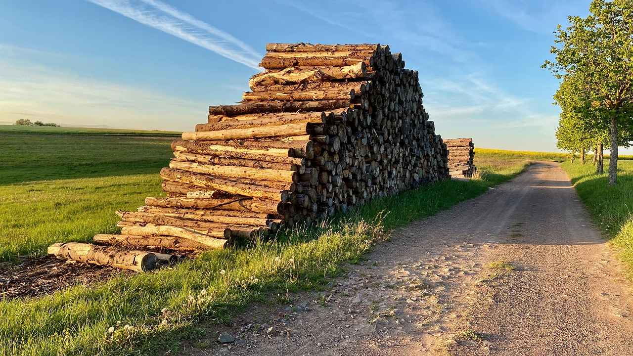 Oyuncu Koltuğu Nasıl Temizlenir ve Bakımı Nasıl Yapılır?