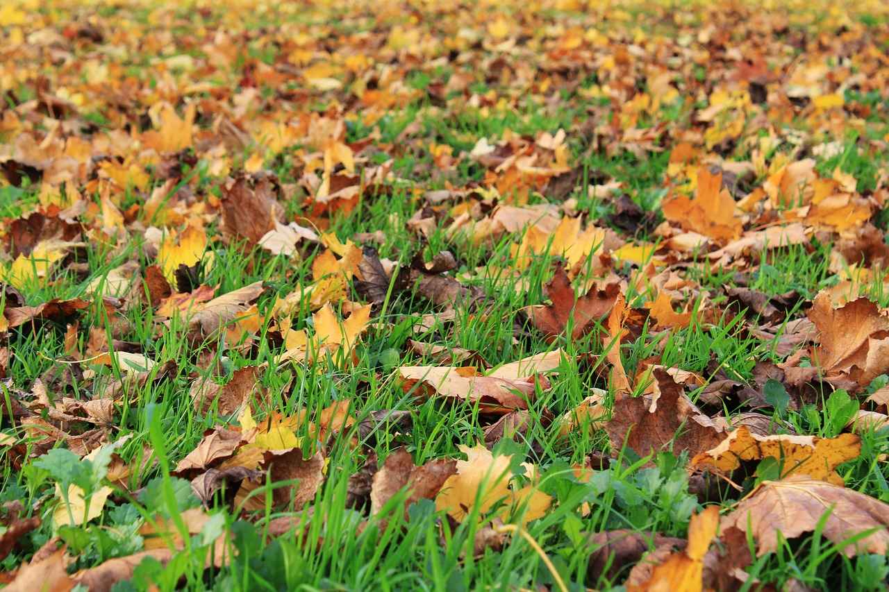 Deri Oyuncu Koltuklarının Avantajları