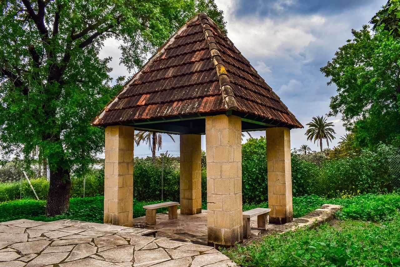 Tekerlekli Koltukların Halı Üzerinde Kullanımı